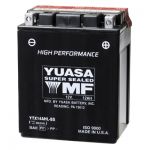 Аккумулятор Yuasa YTX14AHL-BS